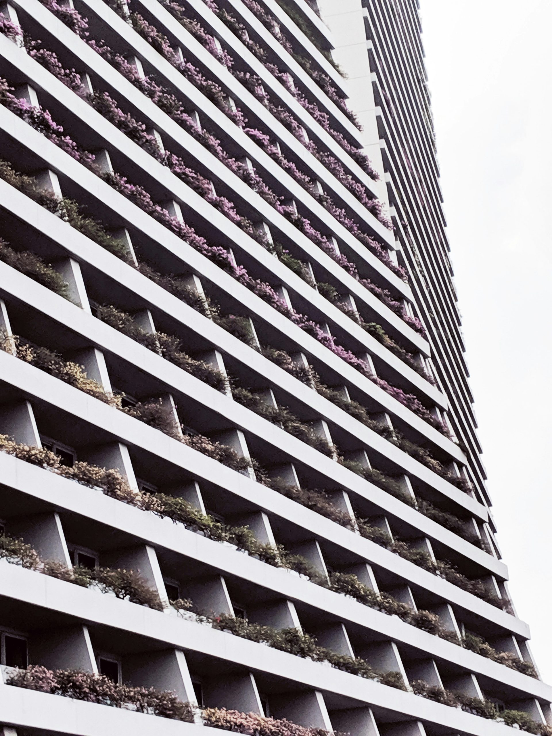 Plaza Rezidans Taşınma Planı